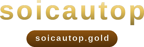 soicautop logo